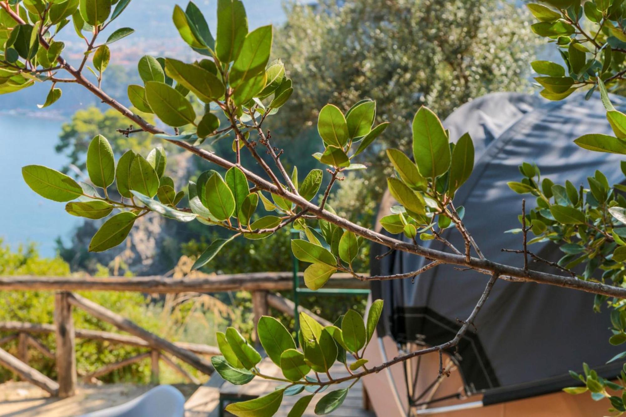 & Glamping Santa Fortunata Campsite *