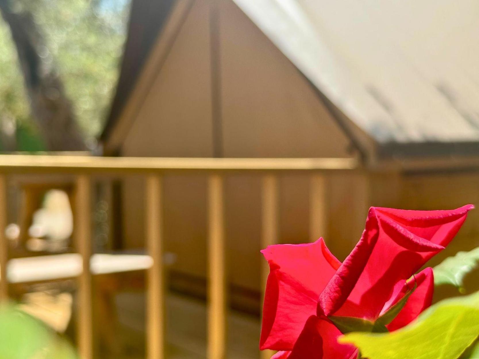 & Glamping Santa Fortunata Campsite *